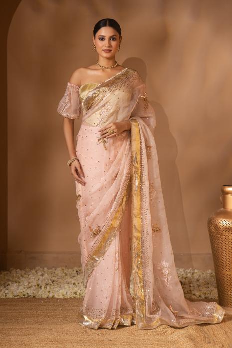 Pichwai Chikankari Organza Saree Set